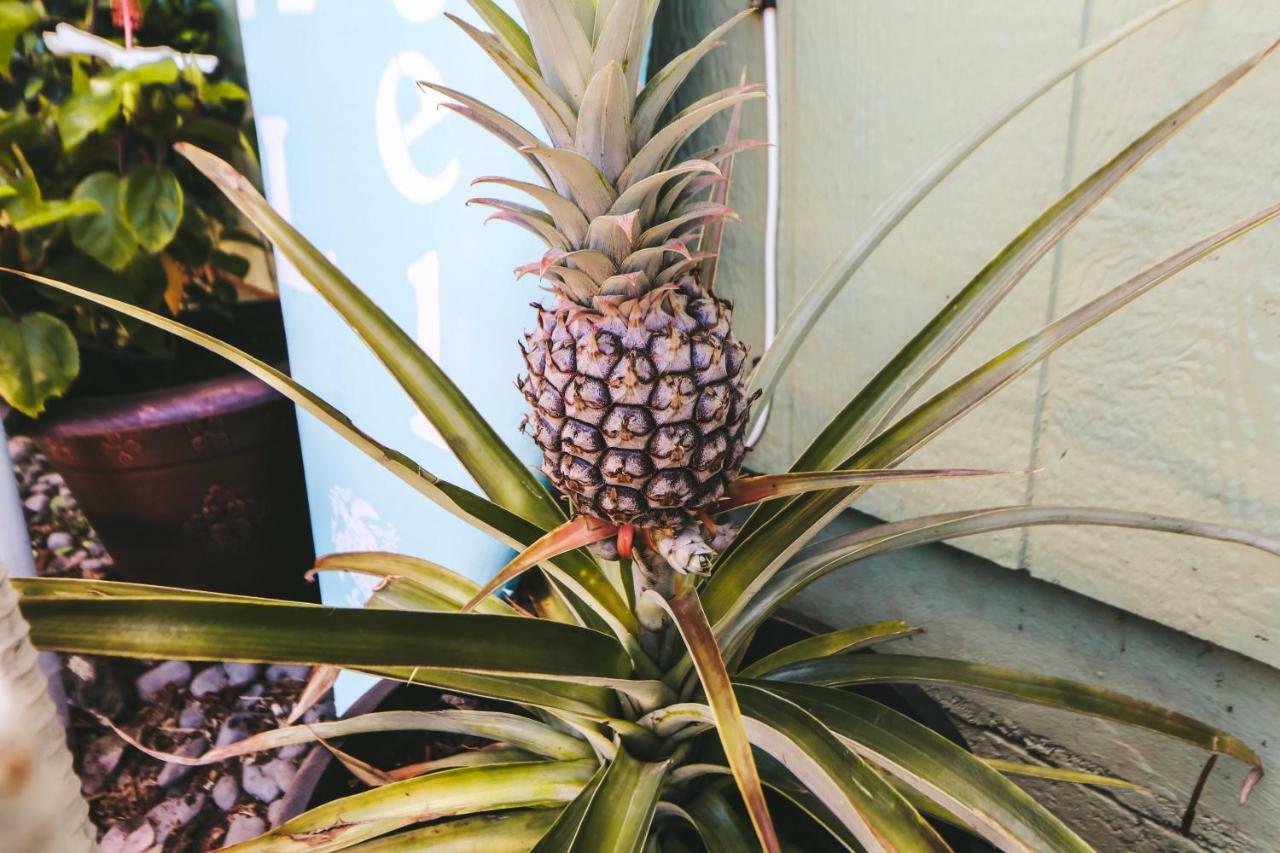 Central Maui Hostel Wailuku Luaran gambar